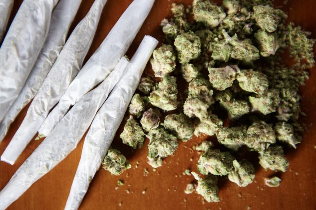 Влияние марихуаны на организм человека