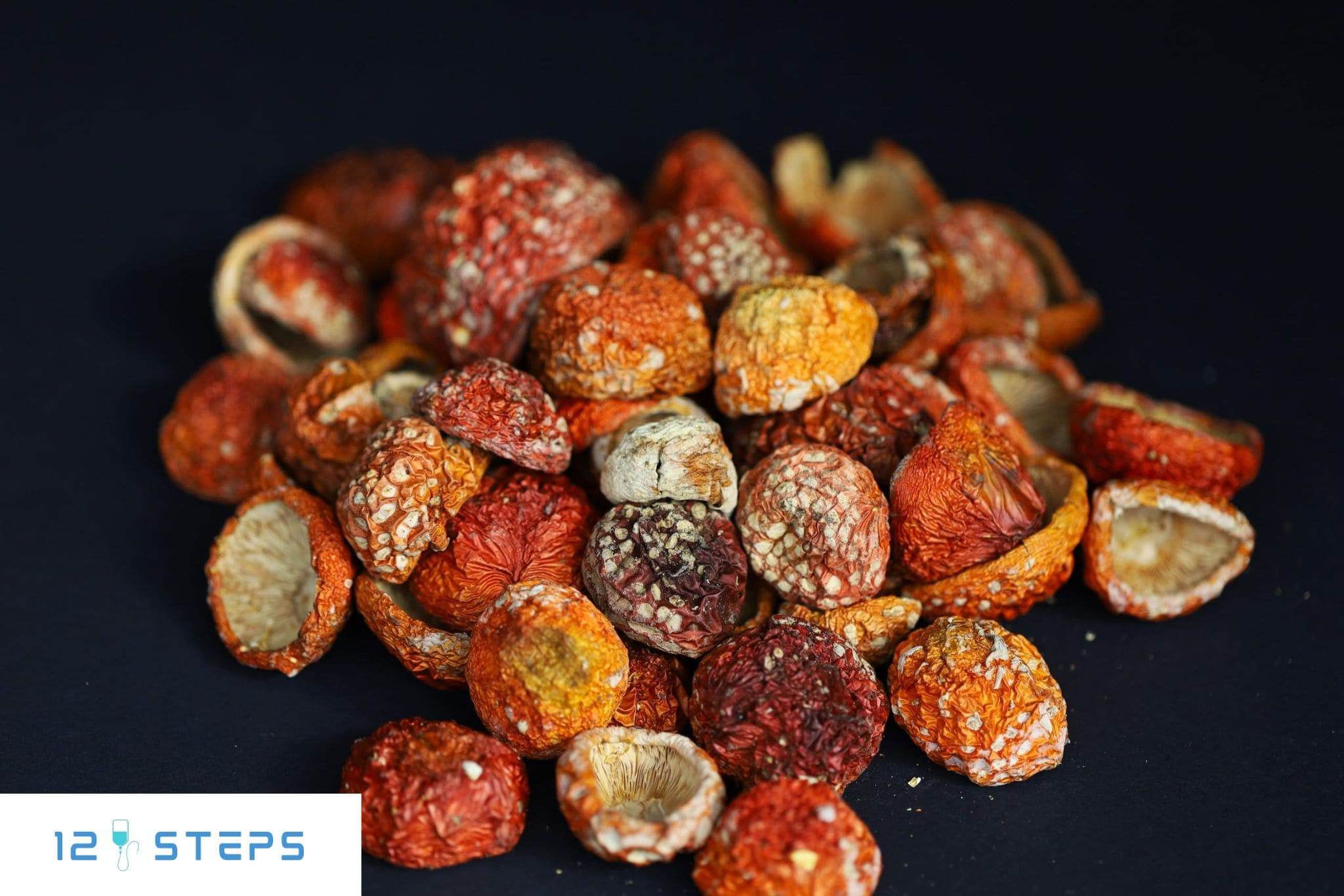 Химия самообмана и цена экспериментов с красным мухомором